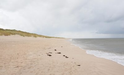 beach-2851080_960_720