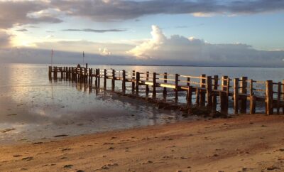 fohr-2610967_960_720