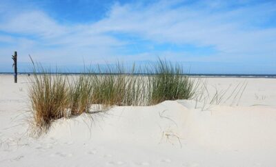 north-sea-2516992_640